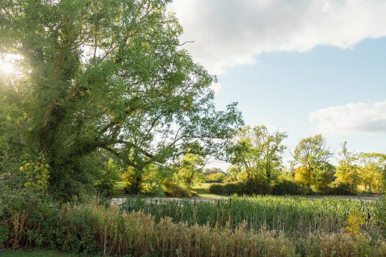 The lake near Ilium House, Henham Park, Suffolk